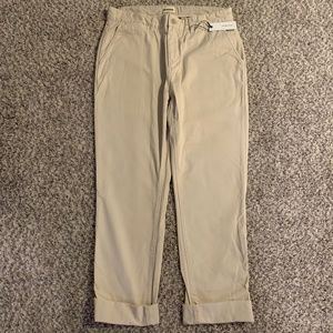 (NWT) Taylor Stitch Democratic Foundation Pant in Organic Stone (Size 33)